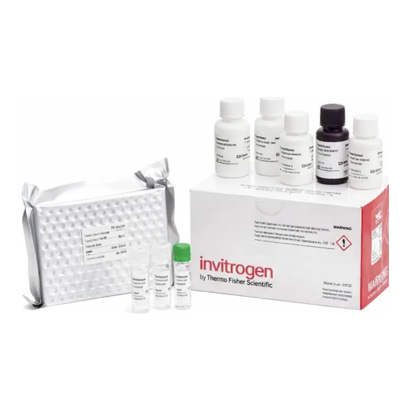 Thermo Fisher Scientific Mouse Progesterone Rapid ELISA Kit