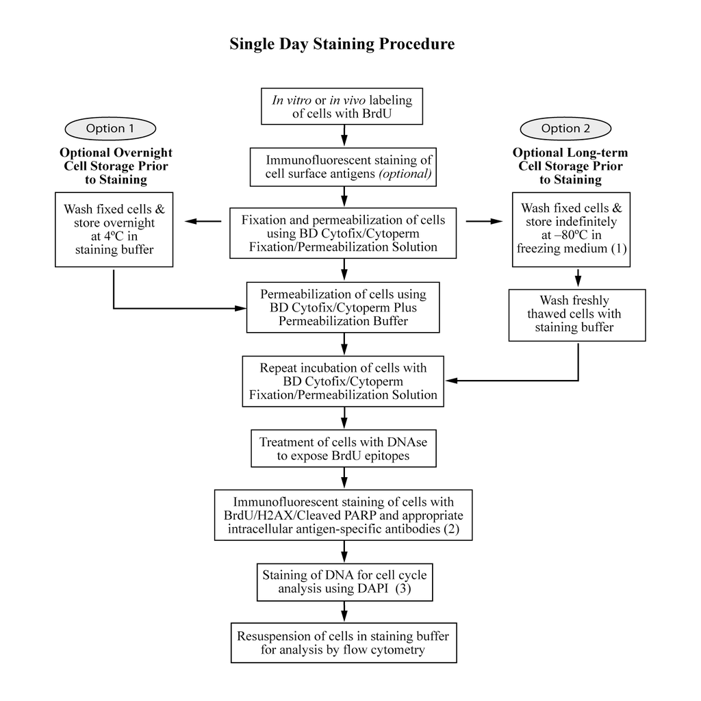 BD Apoptosis, DNA Damage and Cell Proliferation Kit