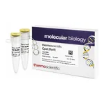 Thermo Fisher Scientific CpoI (RsrII) (10 U/μL), 200 units