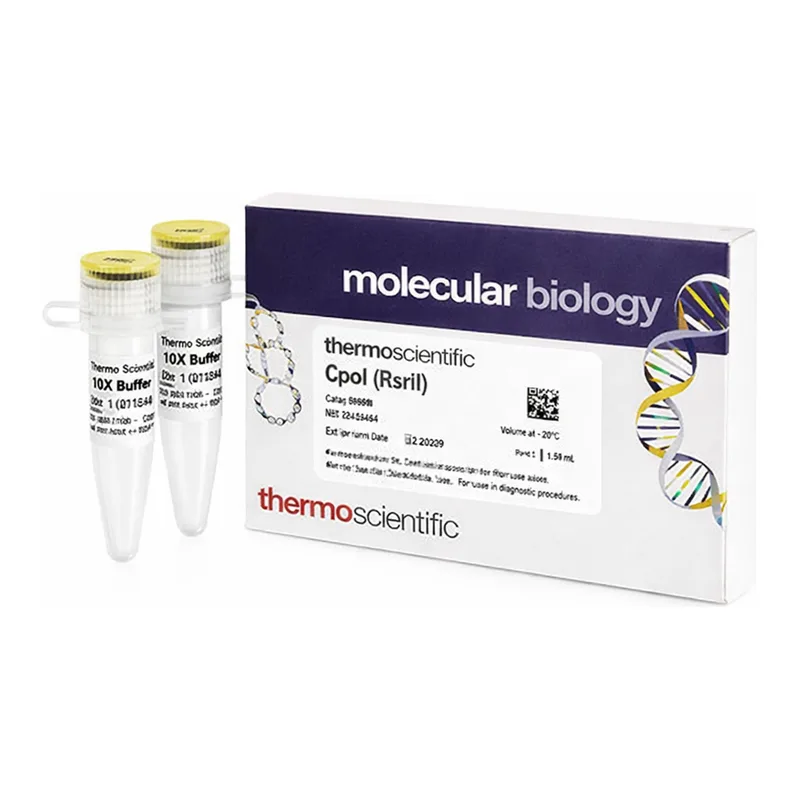 Thermo Fisher Scientific CpoI (RsrII) (10 U/μL), 200 units