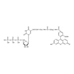 Merck Fluorescein-12-UTP