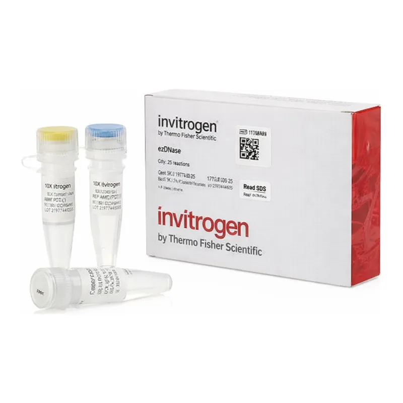 Thermo Fisher Scientific ezDNase Enzyme
