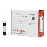 Thermo Fisher Scientific SARS-CoV-2 Spike (Trimer) Ig Total Human ProcartaPlex Simplex Kit