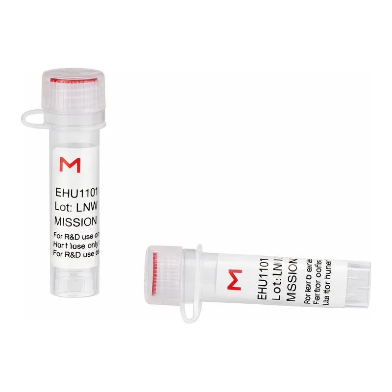 Merck ESIRNA HUMAN PYGL