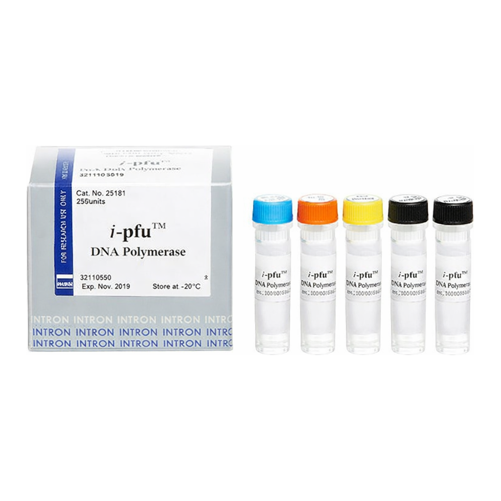 Intron i-pfu DNA Polymerase