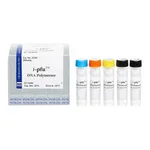 Intron i-pfu DNA Polymerase