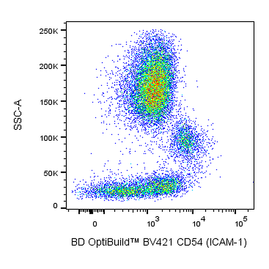 BD BV421 Mouse Anti-Human CD54