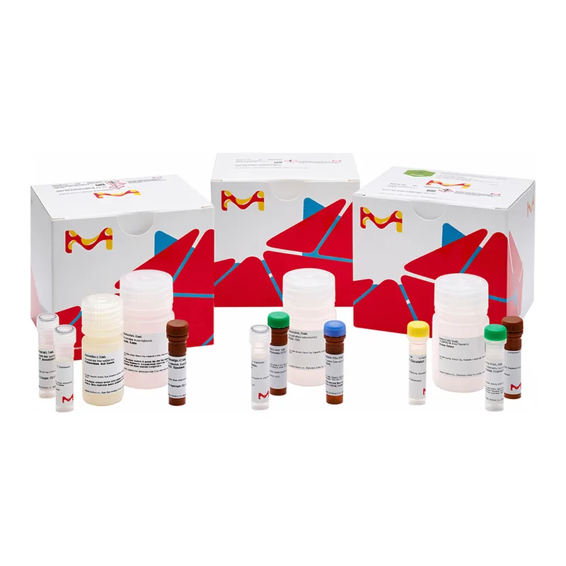 Merck BETA-LACTAMASE ACTIVITY ASSAY KIT