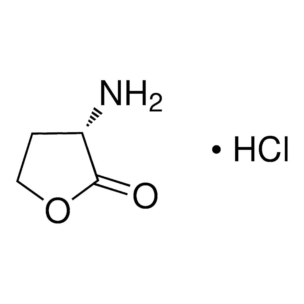 Merck (S)-alpha-Amino-gamma-butyrolactone hydrochloride