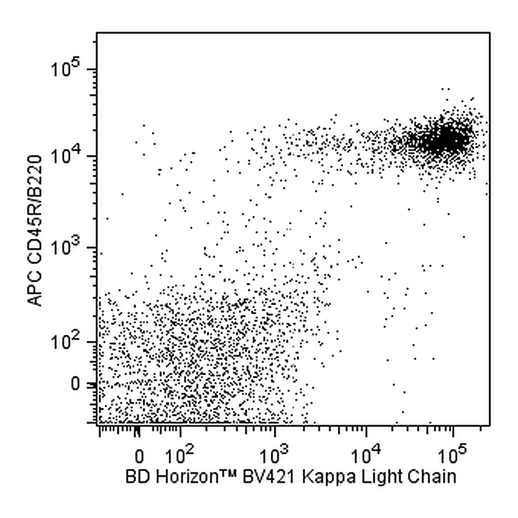 BD BV421 Rat Anti-Mouse Ig, κ Light Chain