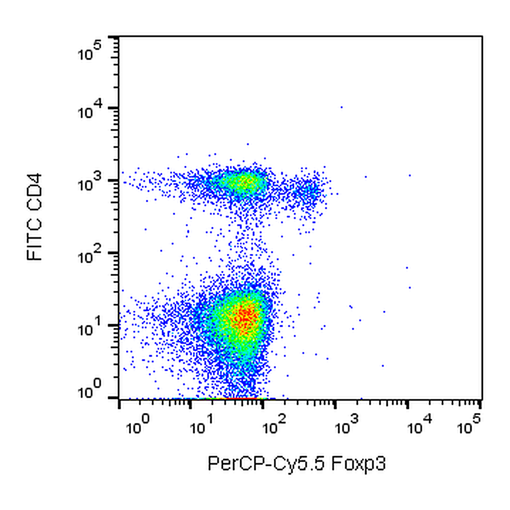 BD PerCP-Cy5.5 Rat Anti-Mouse Foxp3