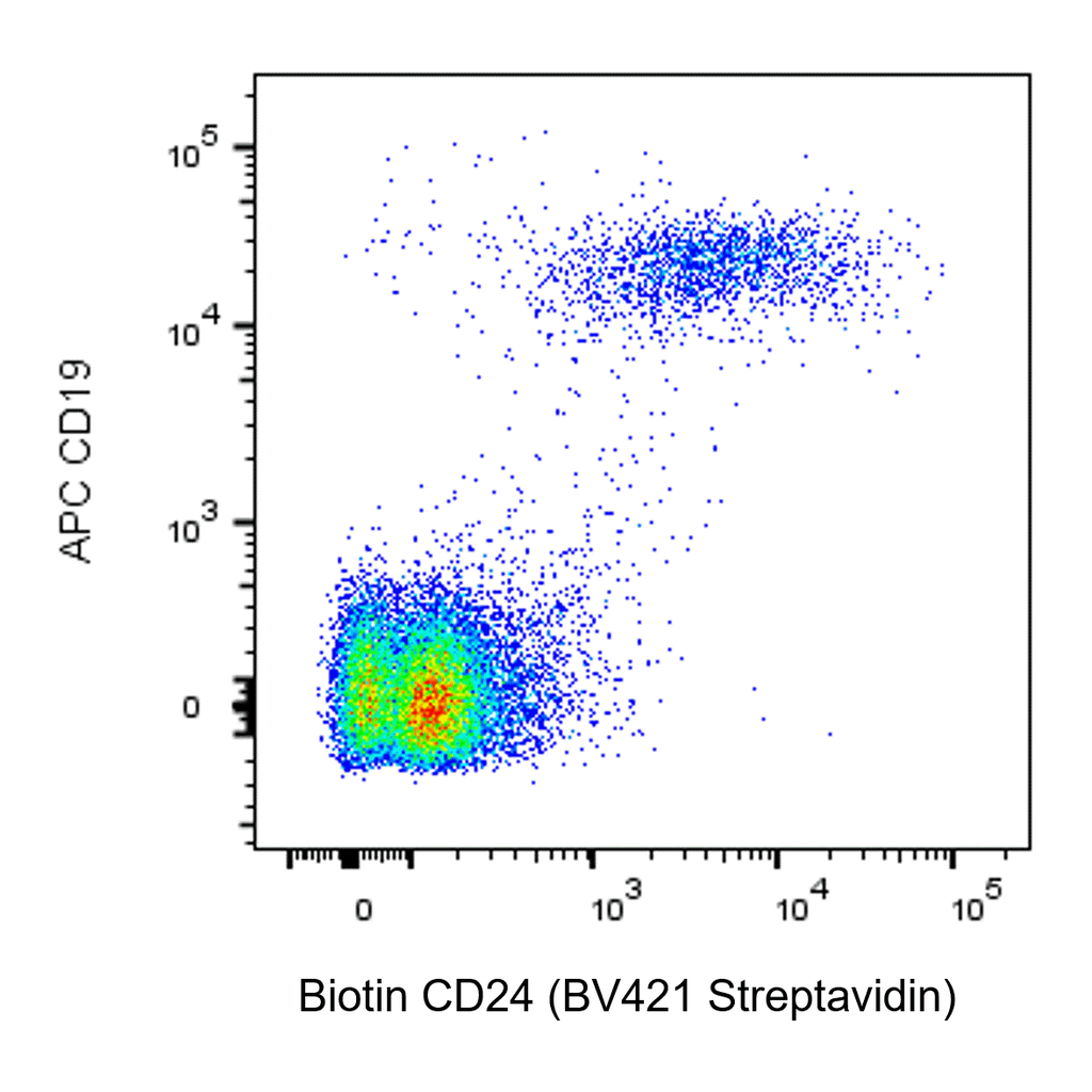 BD Biotin Mouse Anti-Human CD24