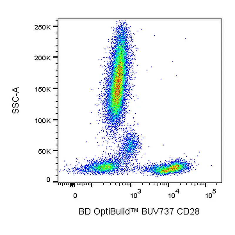 BD BUV737 Mouse Anti-Human CD28