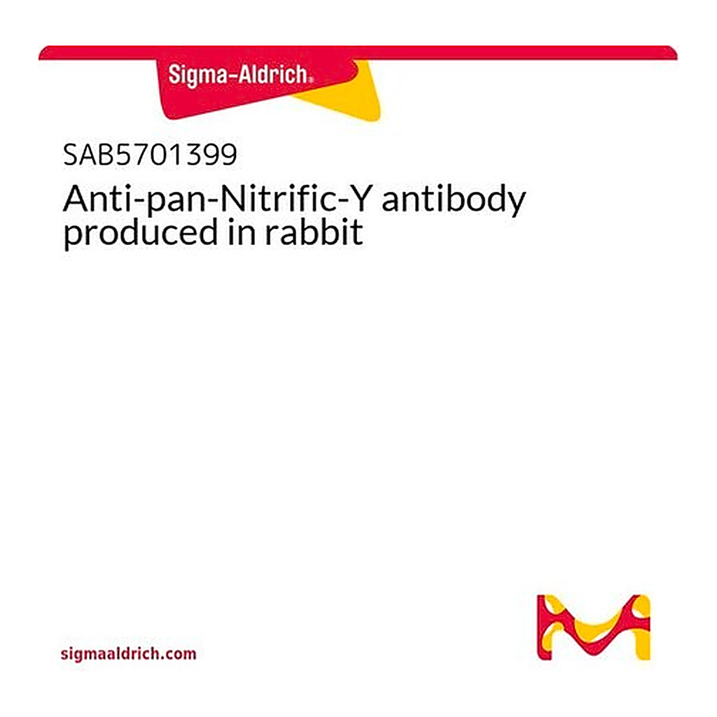 Merck Anti-pan-Nitrific-Y antibody produced in rabbit