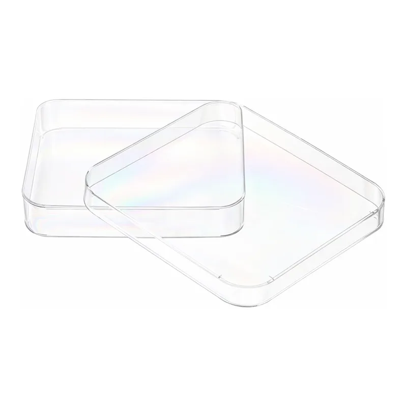 Thermo Fisher Scientific Nunc Lab-Tek Petri Dishes