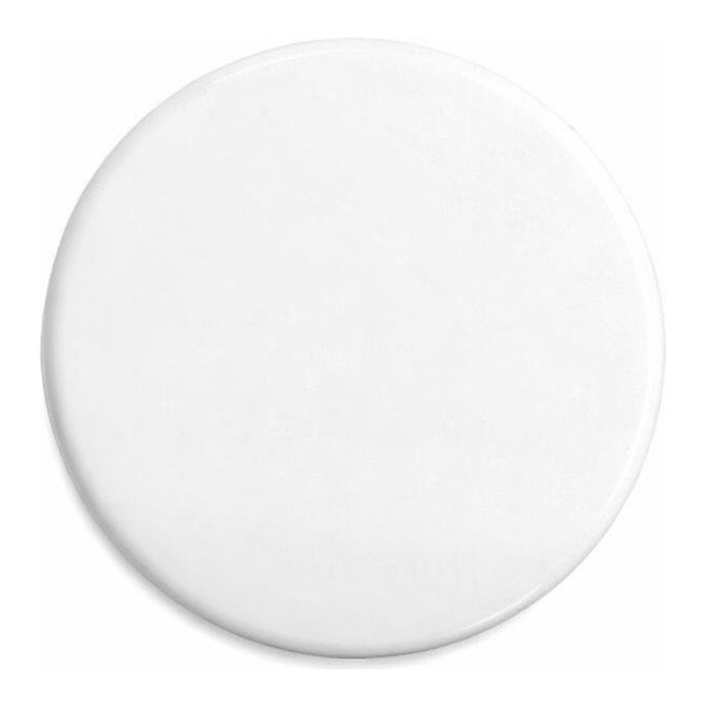 Waters PES IC Solvent Filter, 13 mm, 0.45 µm, 100/pk