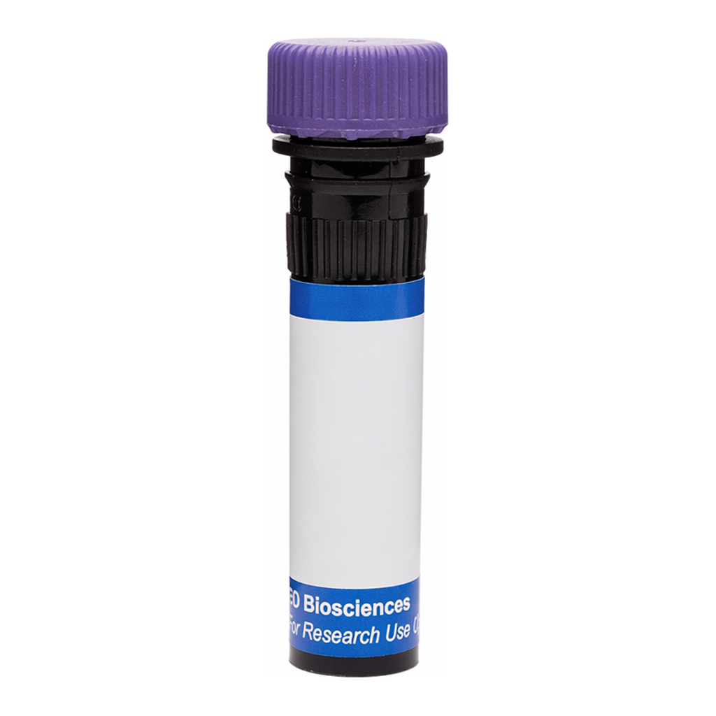 BD RB744 Mouse Anti-Mouse Vβ 12 T-Cell Receptor