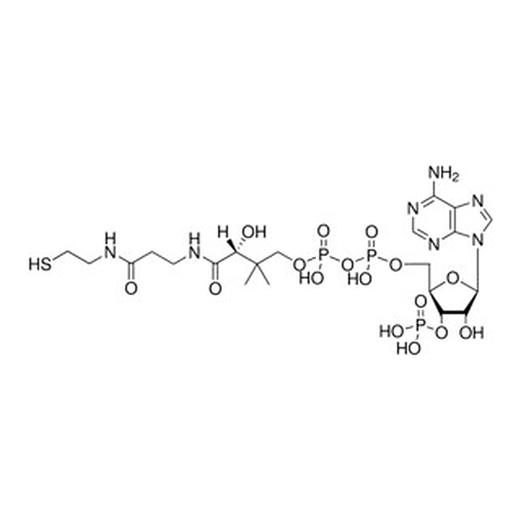 Merck COENZYME A (FREE ACID)