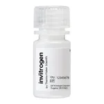 Thermo Fisher Scientific FluoSpheres Polystyrene Microspheres, 1.0 μm, yellow-green fluorescent (505/515), for tracer studies