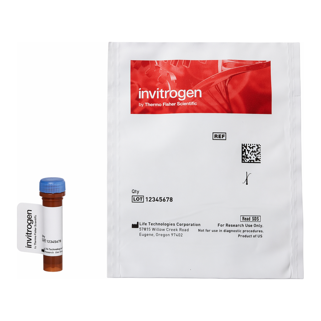 Thermo Fisher Scientific Tetramethylrhodamine (TAMRA) Azide (Tetramethylrhodamine 5-Carboxamido-(6-Azidohexanyl)), 5-isomer