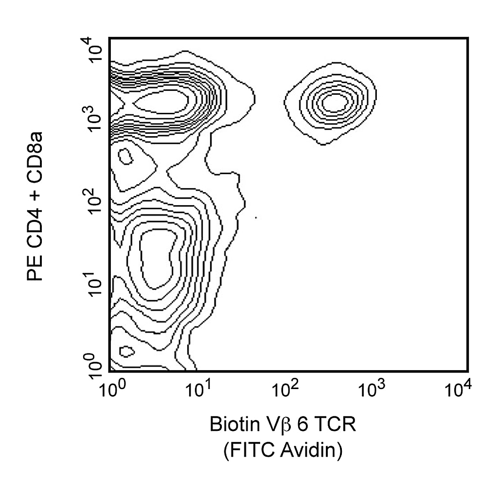 BD Biotin Rat Anti-Mouse Vβ 6 T-Cell Receptor