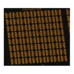 Merck Hall Device Chip