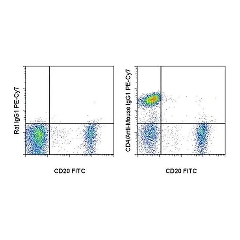 Thermo Fisher Scientific Rat anti-Mouse IgG1 Secondary Antibody, PE-Cyanine7, eBioscience