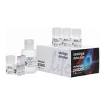 Thermo Fisher Scientific Click-iT Plus EdU Alexa Fluor 488 Flow Cytometry Assay Kit, 50 assays