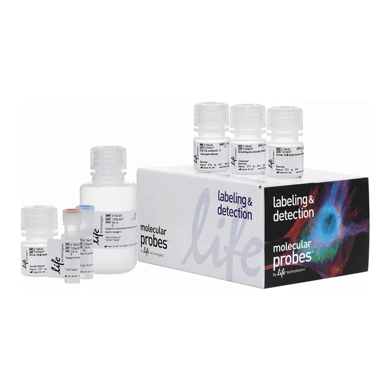 Thermo Fisher Scientific Click-iT Plus EdU Alexa Fluor 488 Flow Cytometry Assay Kit, 50 assays