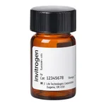 Thermo Fisher Scientific 4-Acetamido-4`-Maleimidylstilbene-2,2`-Disulfonic Acid, Disodium Salt