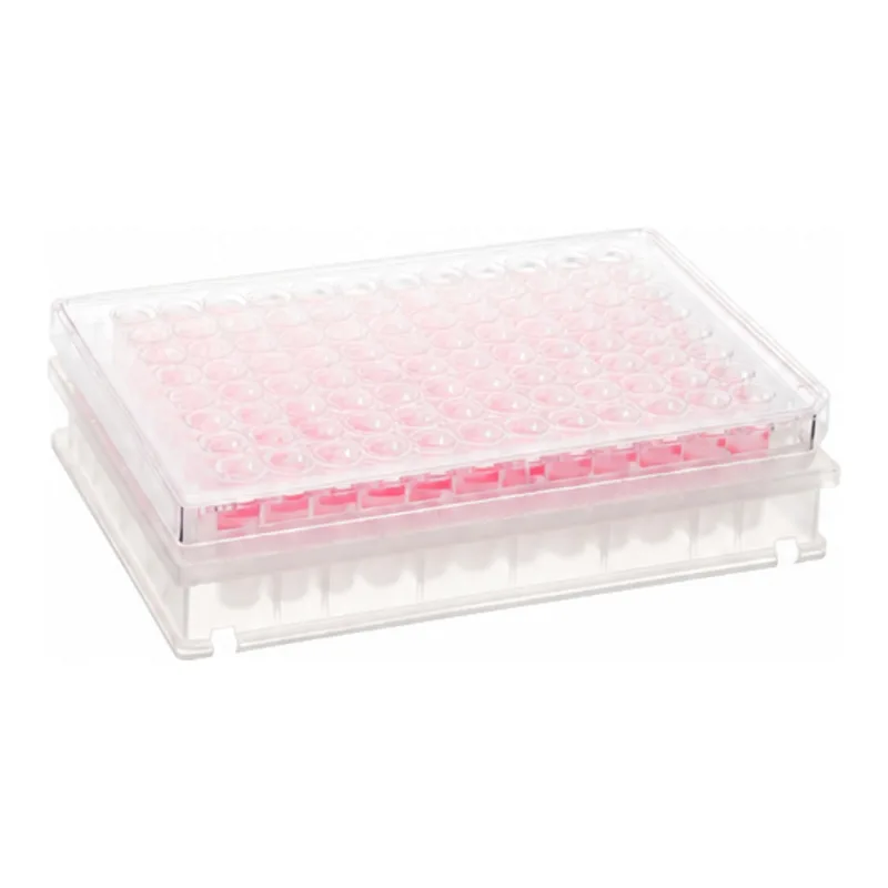 Microporous Filter Plates