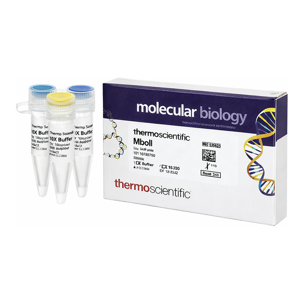 Thermo Fisher Scientific MboII (5 U/&mu;L), 300 units