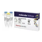 Thermo Fisher Scientific MboII (5 U/μL), 300 units