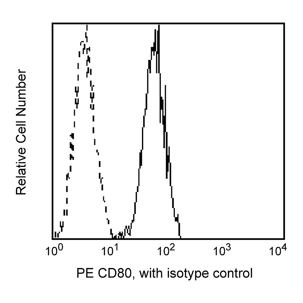BD PE Mouse Anti-Human CD80