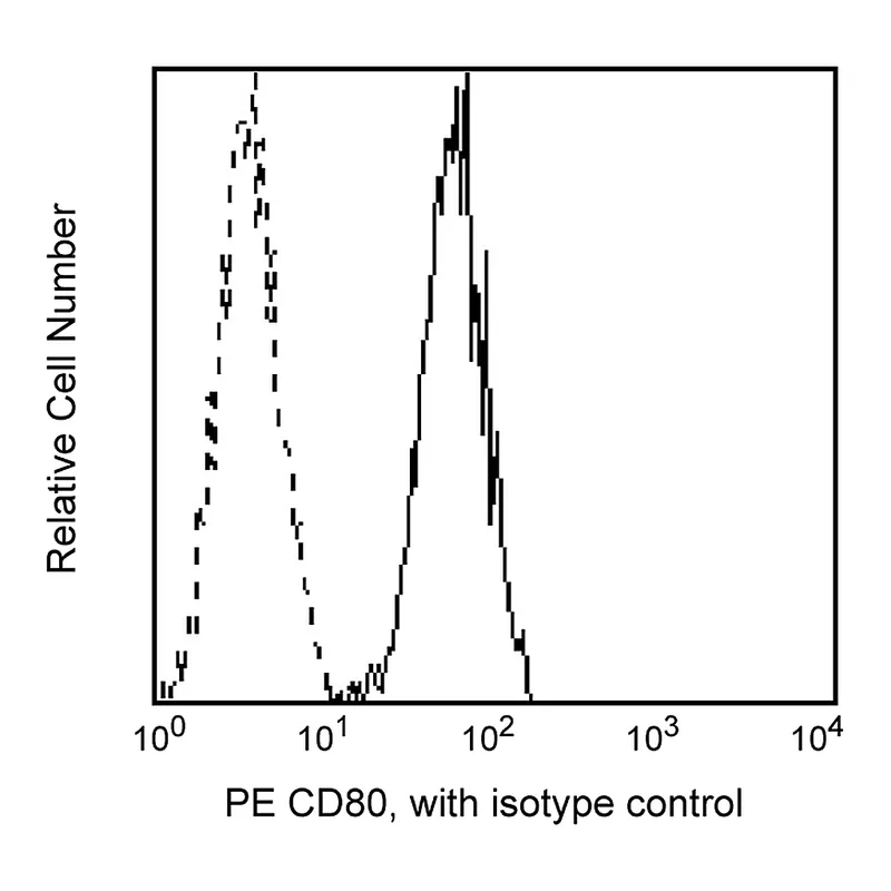 BD PE Mouse Anti-Human CD80
