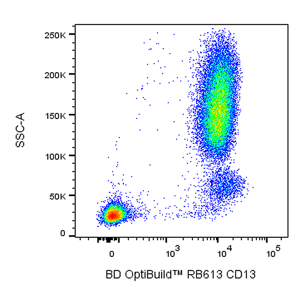 BD RB613 Mouse Anti-Human CD13