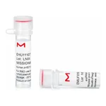 Merck MISSION(R) esiRNA