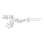 Merck C17:0 GM1 (synthetic)
