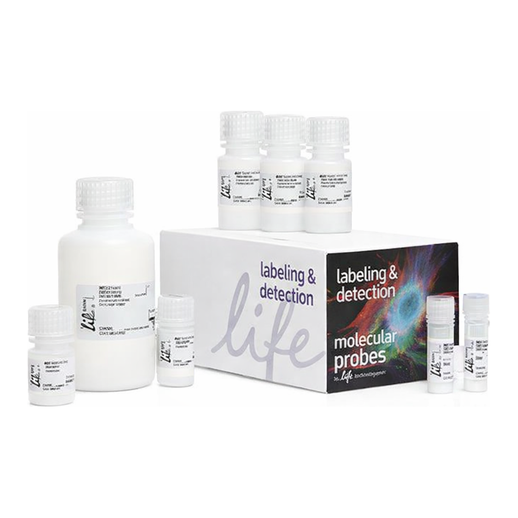 Thermo Fisher Scientific Click-iT Plus EdU Alexa Fluor 647 Flow Cytometry Assay Kit, 100 rxn(s)