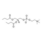 Merck 04:0 PC