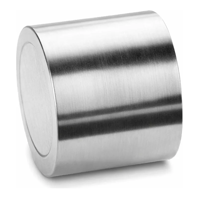 Waters Atlantis dC18 Prep Guard Cartridge, 10 µm, 10 mm X 10 mm, 1/pk