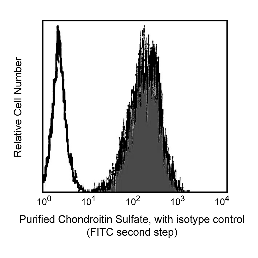 BD Purified Mouse Anti-Chondroitin Sulfate