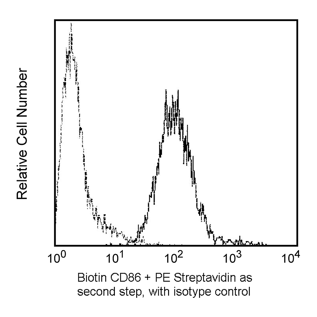 BD Biotin Mouse Anti-Human CD86