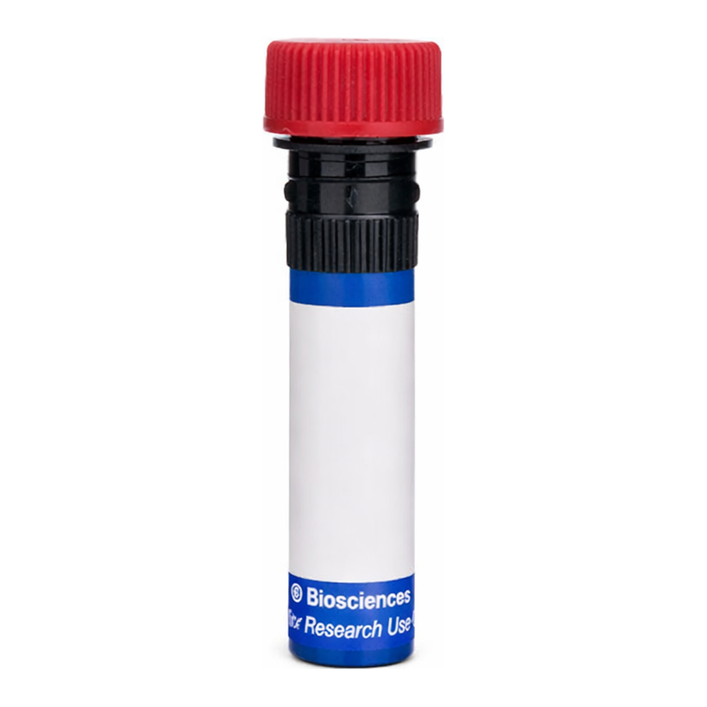 BD RB670 Mouse Anti-Rat CD18 (Integrin β2)