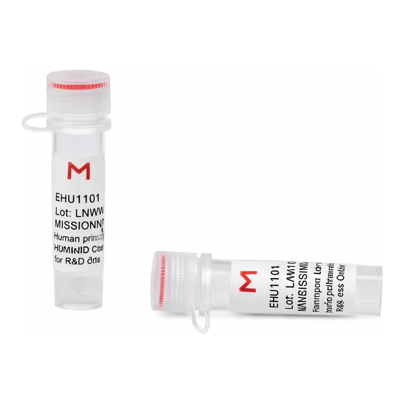 Merck ESIRNA HUMAN CXCL1