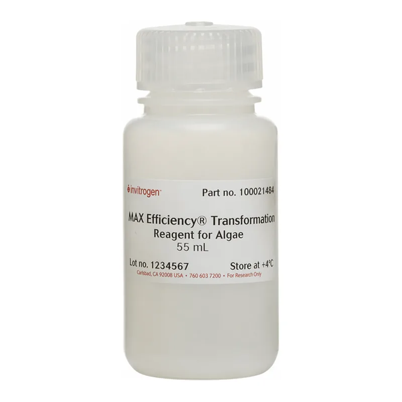 Thermo Fisher Scientific MAX Efficiency Transformation Reagent for Algae