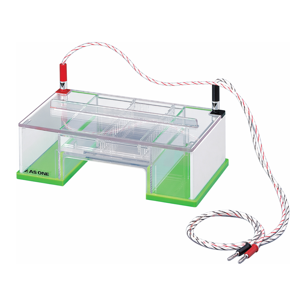 AS ONE Electrophoresis Unit Submarine Gel, 서브머린겔전기영동장치