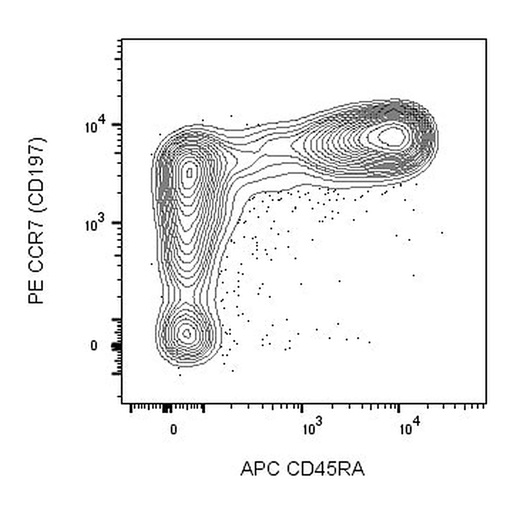 BD PE Mouse Anti-Human CCR7 (CD197)
