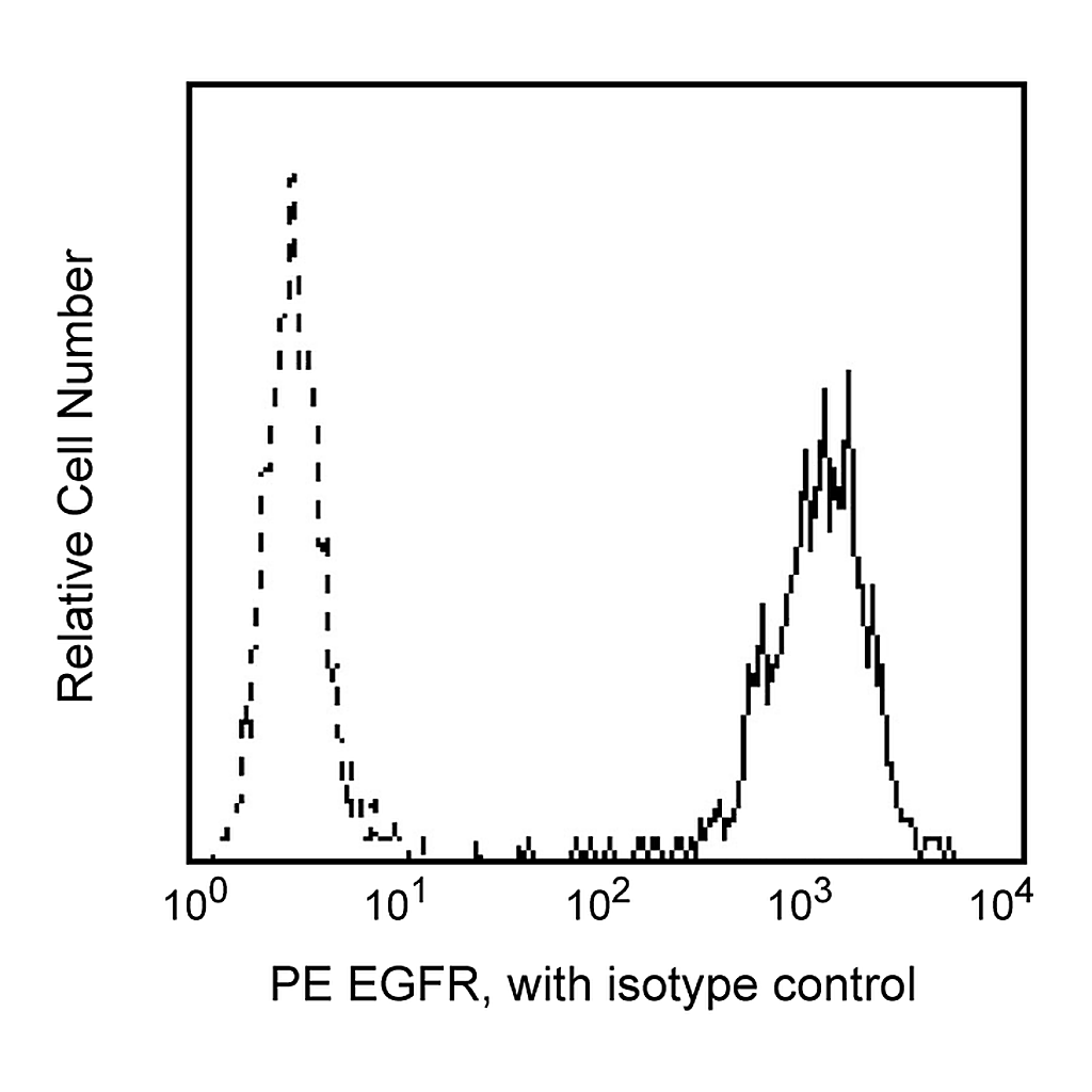 BD PE Mouse Anti-Human EGF Receptor
