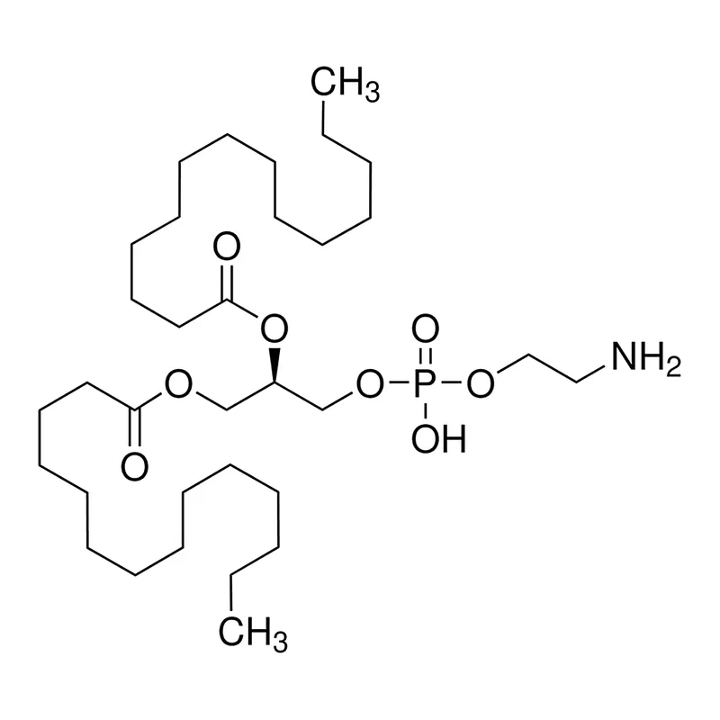 Merck 1,2-Dimyristoyl-sn-glycero-3-phosphoethanolamine